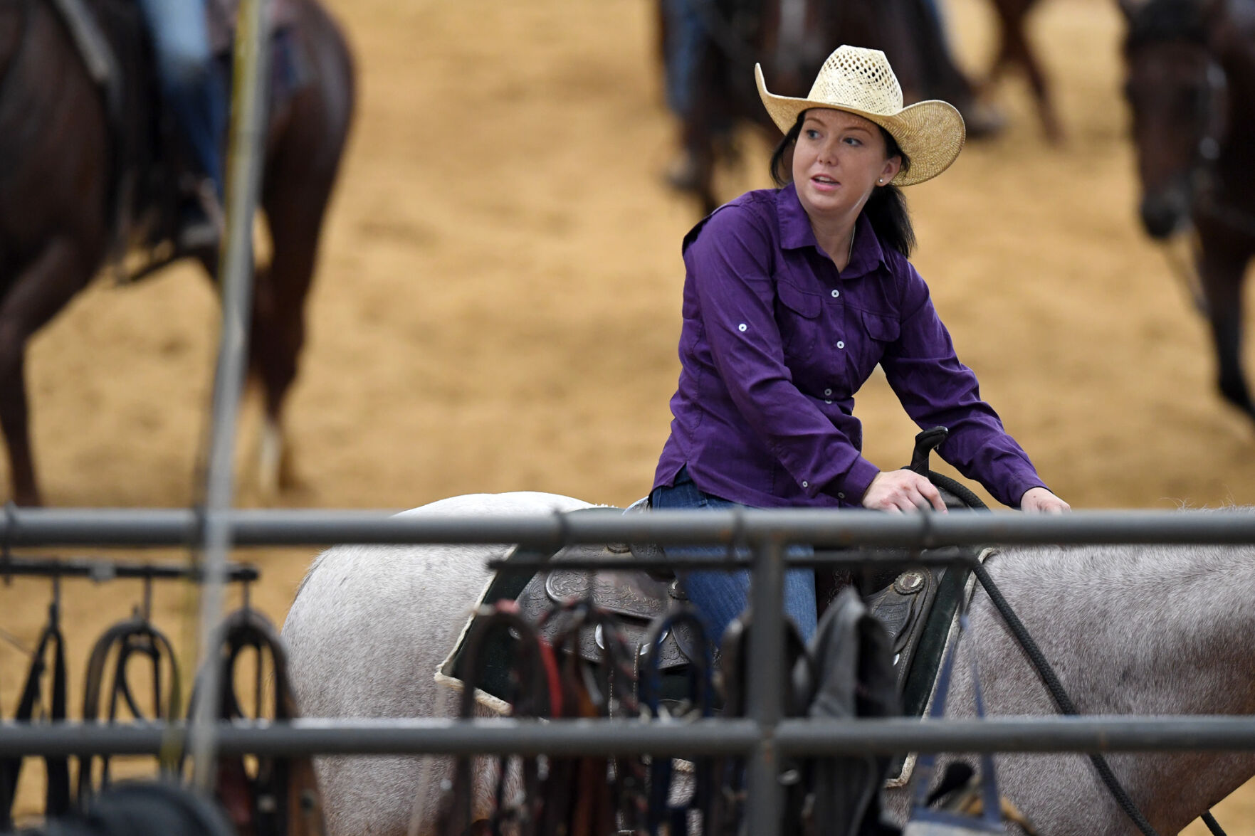 Michelle Lynn Holsey Foundation NCHA Cutting & Benefit